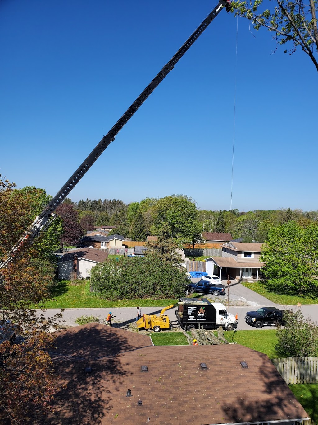 Bigfoot Tree Care | 17 Homestead Rd, Pontypool, ON L0A 1K0, Canada | Phone: (289) 685-0372