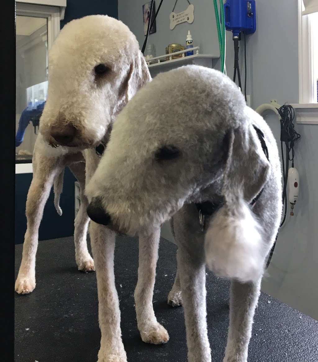 Hair Off The Dog | 22 Shawn Ct, Riverview, NB E1B 3R4, Canada | Phone: (506) 384-3646