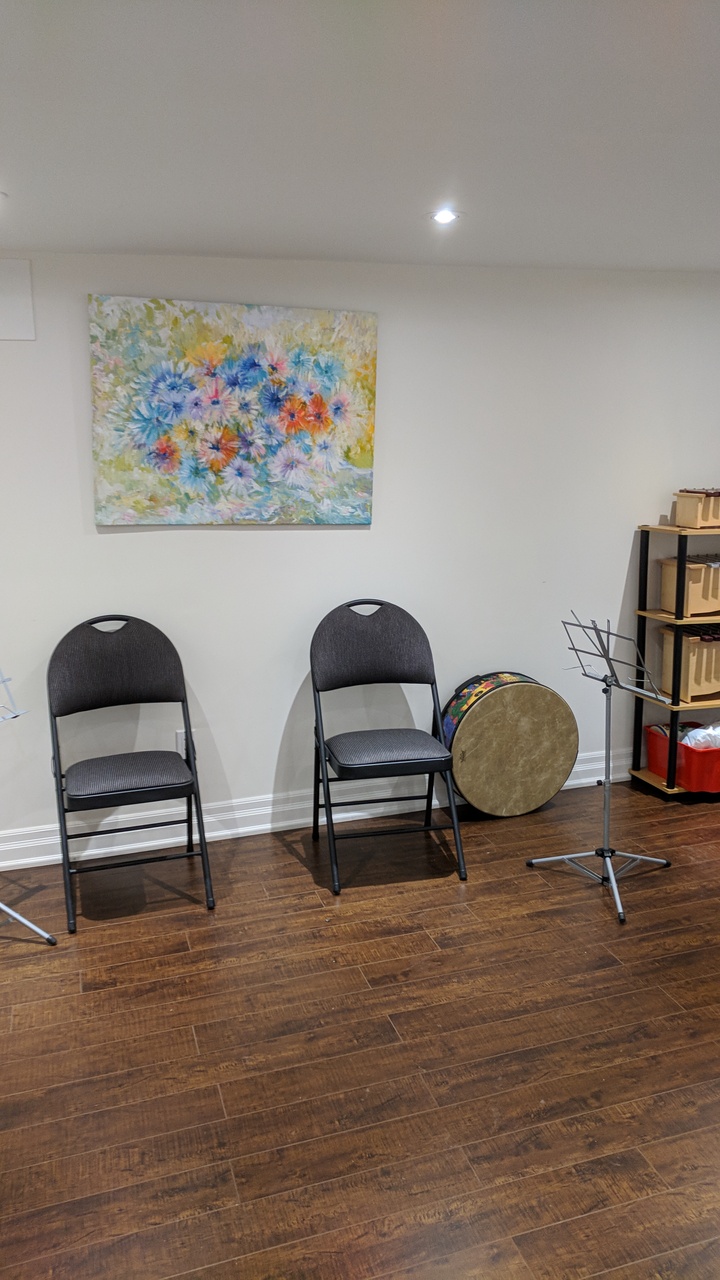 Andalibi Music Academy | 283 Taylor Mills Dr N, Richmond Hill, ON L4C 2T8, Canada | Phone: (437) 998-9999
