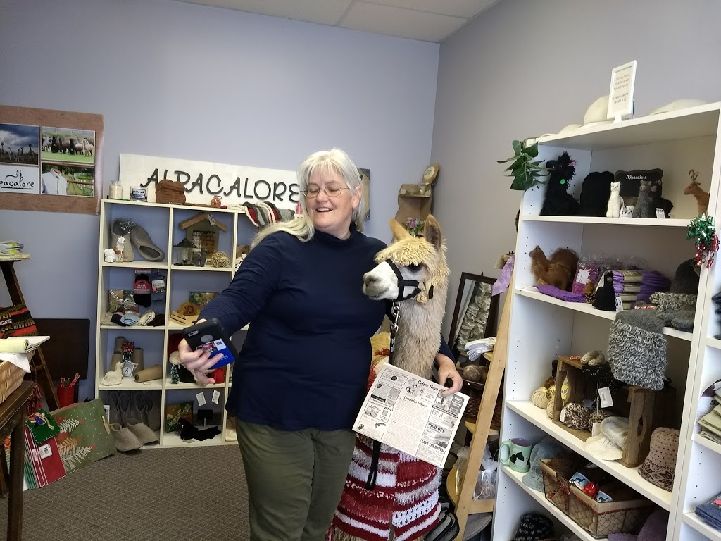 Alpacalore | 320 Vansickle Rd, St. Catharines, ON L2R, Canada