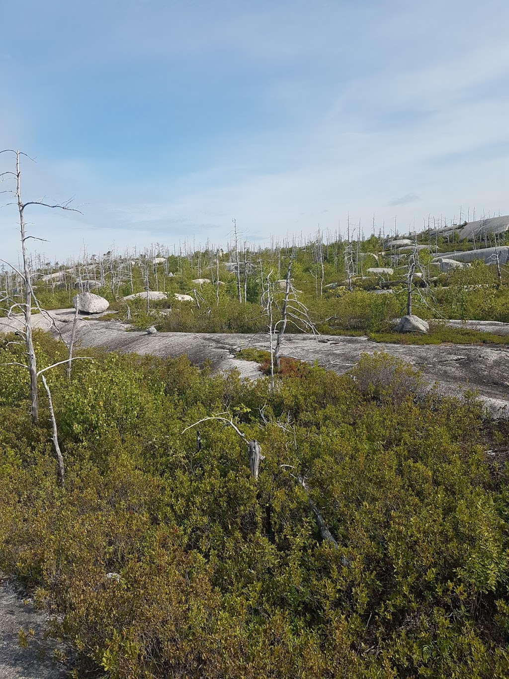 Fight Trails | Alabaster Way, Halifax, NS B3R 1X6, Canada