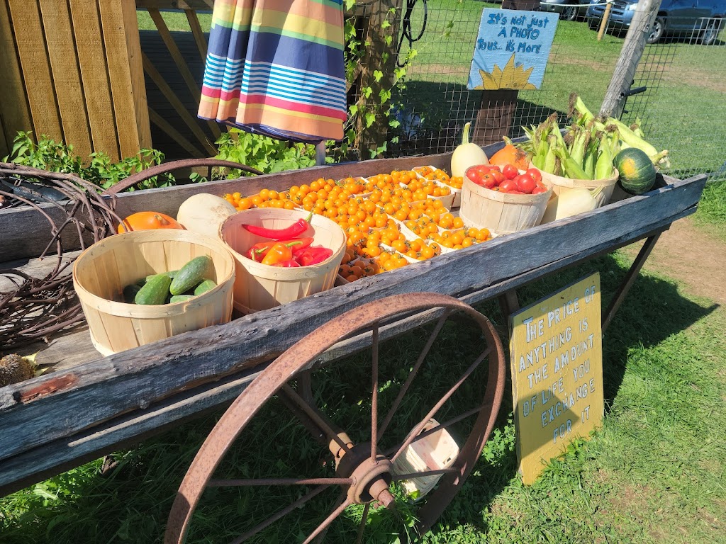 Granite Organic | 4159 Chester Rd, Windsor, NS B0N 2T0, Canada | Phone: (902) 448-5199