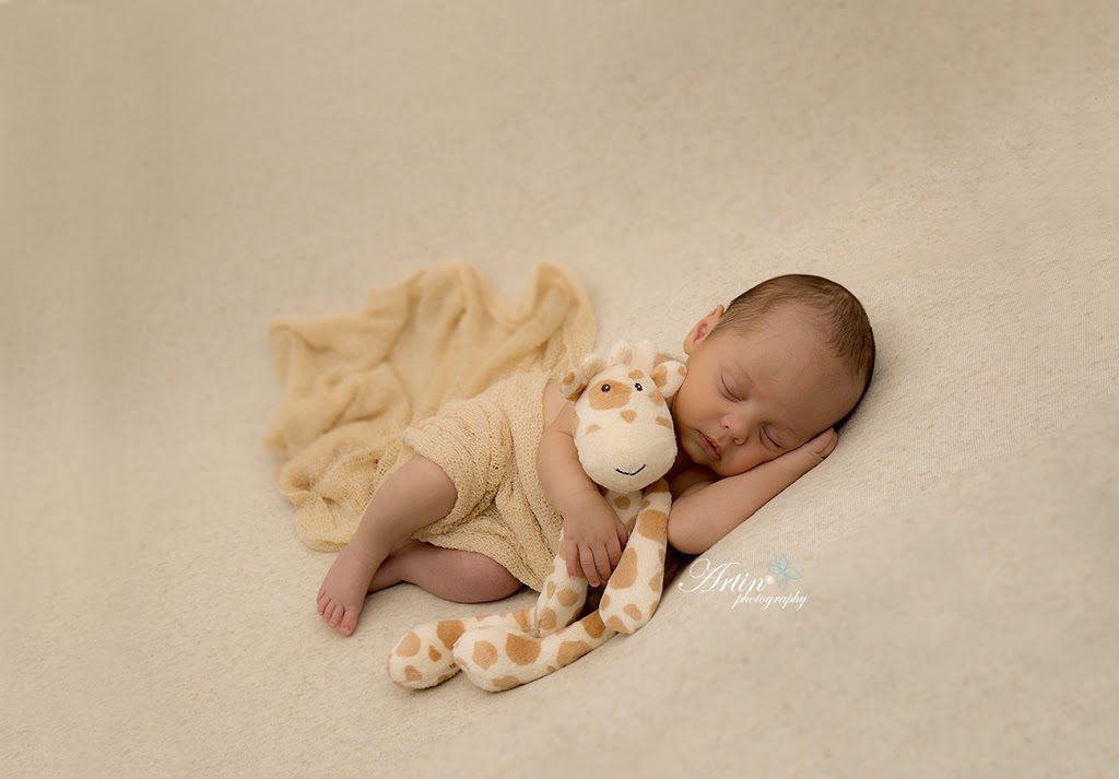 Artin Photography | 3476 Coast Meridian Rd #12, Port Coquitlam, BC V3B 7H6, Canada | Phone: (778) 899-0537