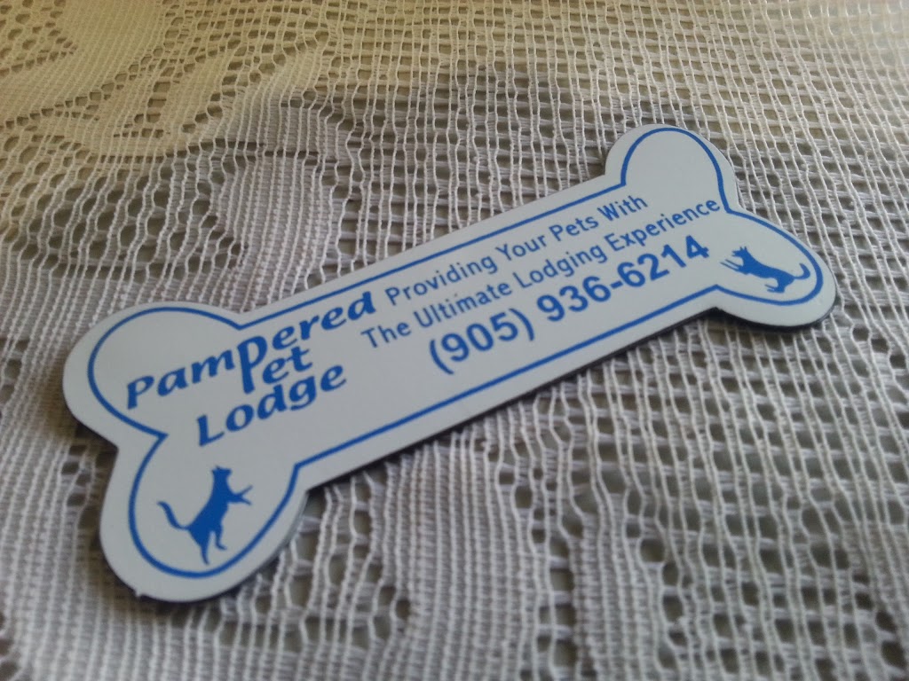 Pampered Pet Lodge | 6831 Line 6, Tottenham, ON L0G 1W0, Canada | Phone: (905) 936-6214