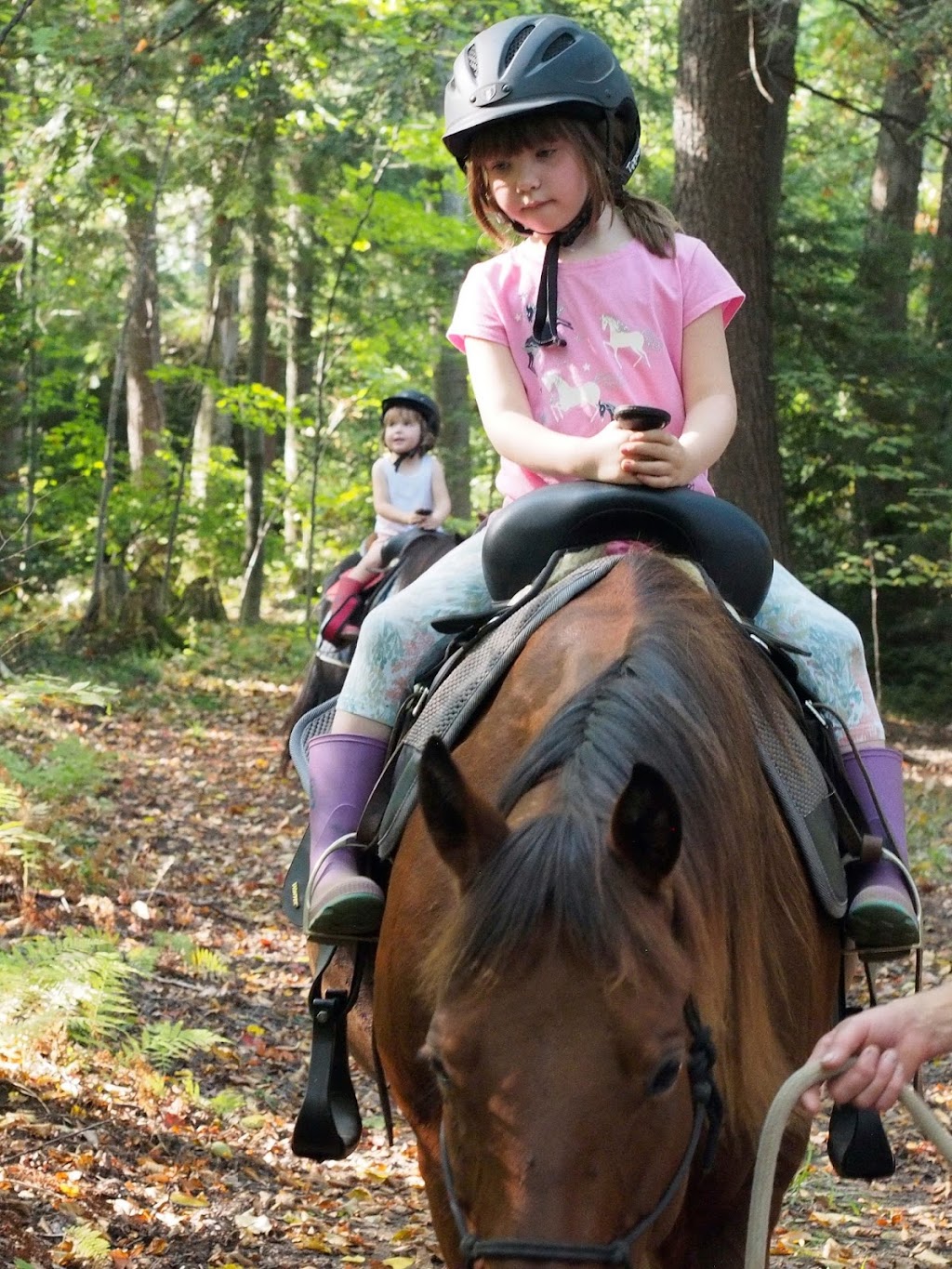 Foymount Farm Accommodations and Equine Retreat | 3837 Foymount Rd, Cormac, ON K0J 1M0, Canada | Phone: (613) 754-2586
