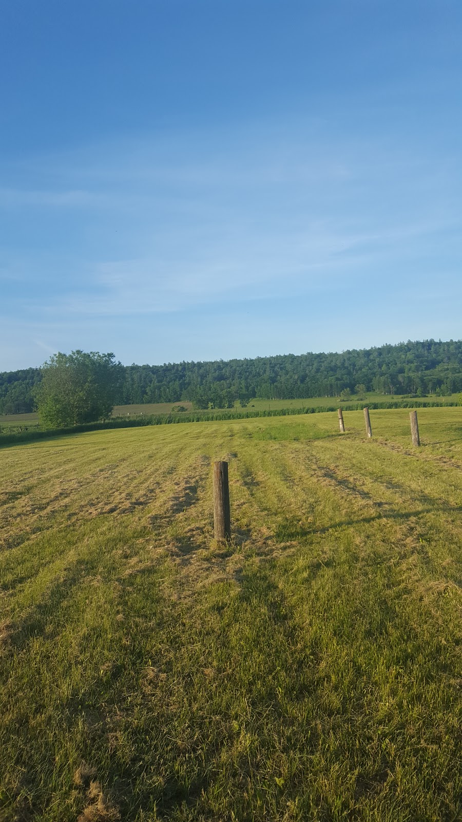 Barr Line Community Centre (Admaston/Bromley) | 1766 Barr Line, Douglas, ON K0J 1S0, Canada | Phone: (613) 649-2342