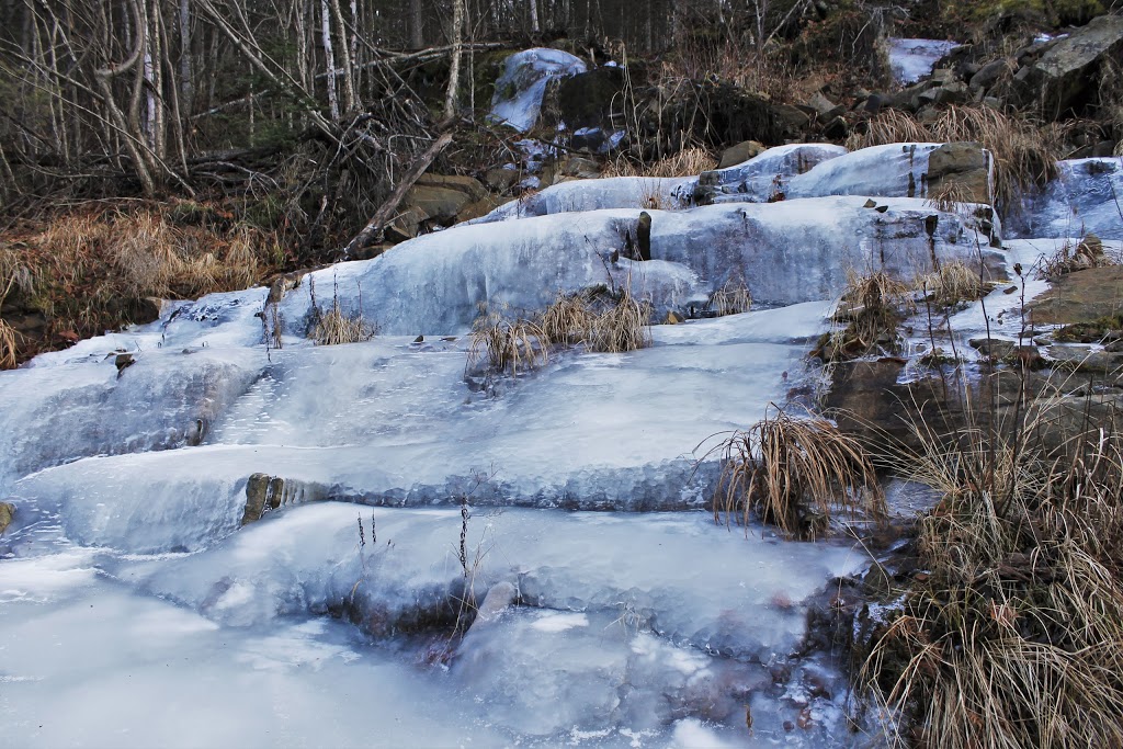 Zec des Nymphes | 4320 Chemin Brassard, Saint-Zénon, QC J0K 3N0, Canada | Phone: (450) 884-5478