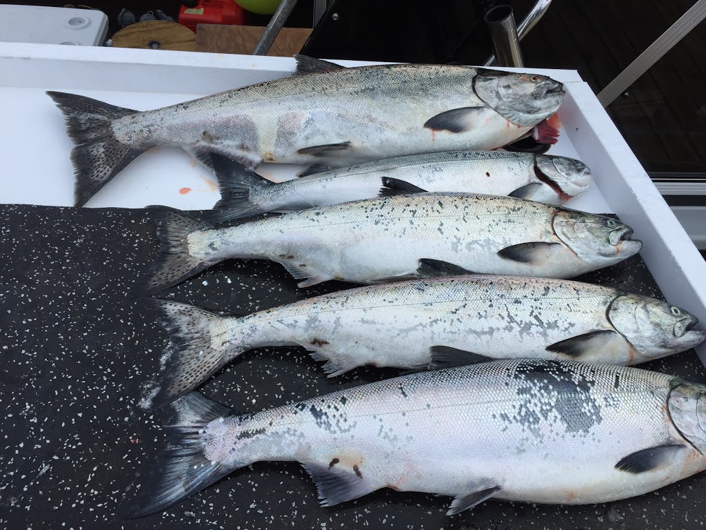 Unreel Fishing Charters | 1900 Zorkin Rd, Nanaimo, BC V9X 1K1, Canada | Phone: (250) 802-3816