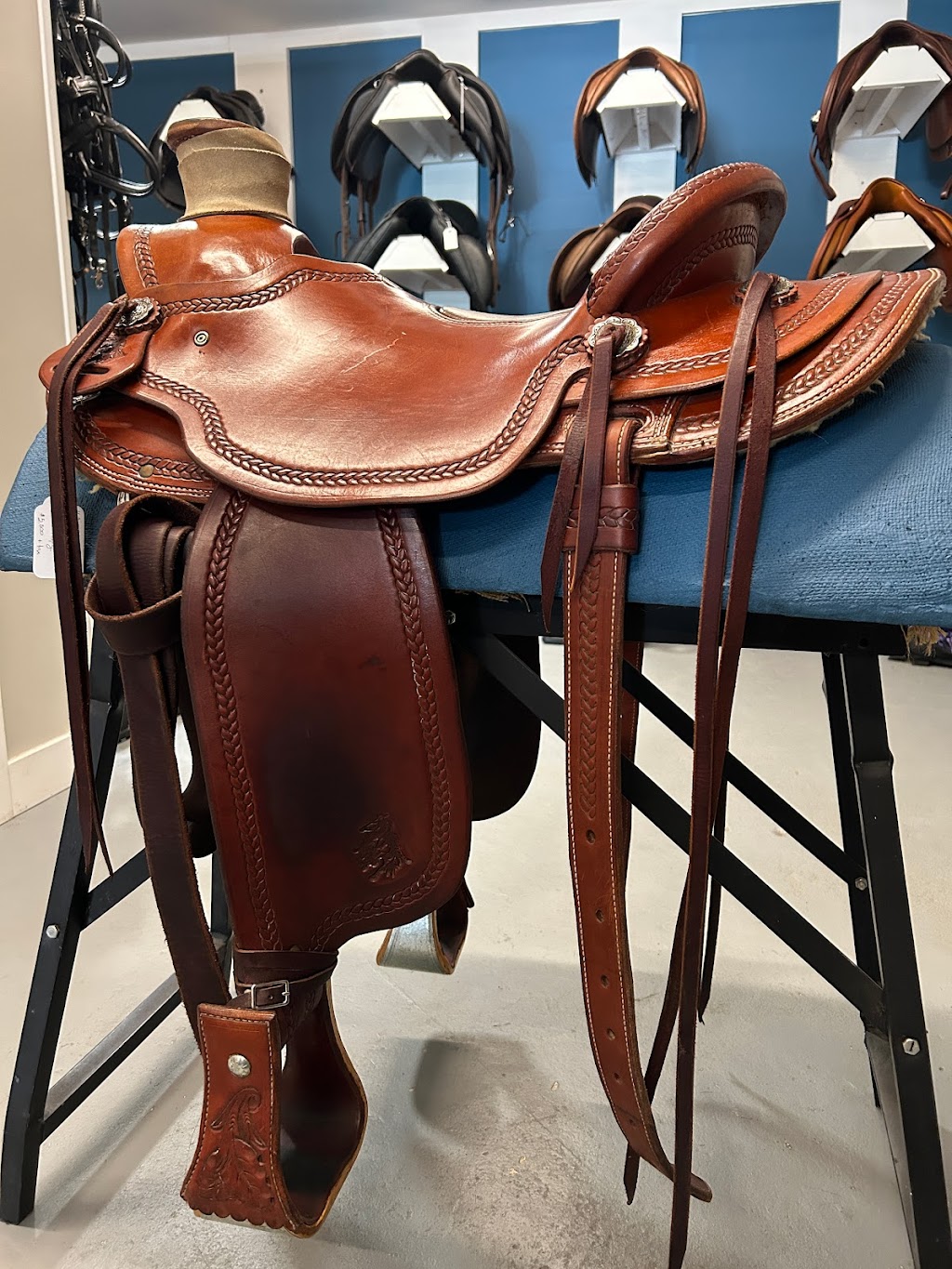 Evolution Equestrian Co. | 5352 N Island Hwy Unit C, Courtenay, BC V9J 1S9, Canada | Phone: (250) 207-2747