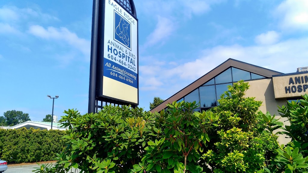 Eagle Ridge Animal & Bird Hospital | 2599 Runnel Dr, Coquitlam, BC V3E 1S3, Canada | Phone: (604) 464-3343