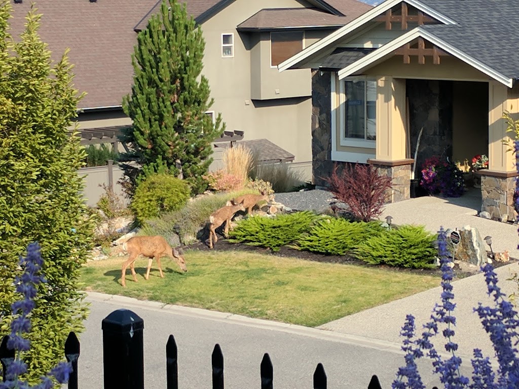 Hilltop Escape B&B | Hewetson Court, Kelowna, BC V1W 5H8, Canada | Phone: (778) 477-1151