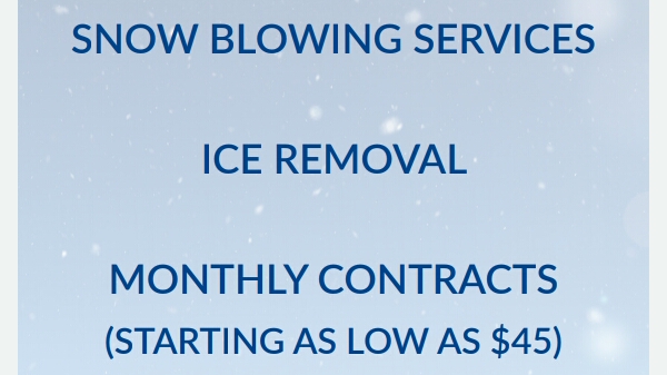 Blue wolf property maintenance | 11915 68 St NW, Edmonton, AB T5B 1P8, Canada | Phone: (587) 975-8464