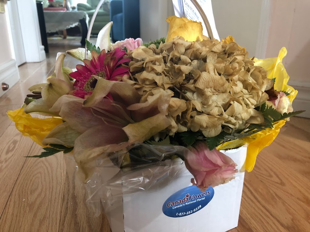 GTA Florist | 45 Brisbane Rd Unit 1, North York, ON M3J 2K1, Canada | Phone: (647) 206-2256