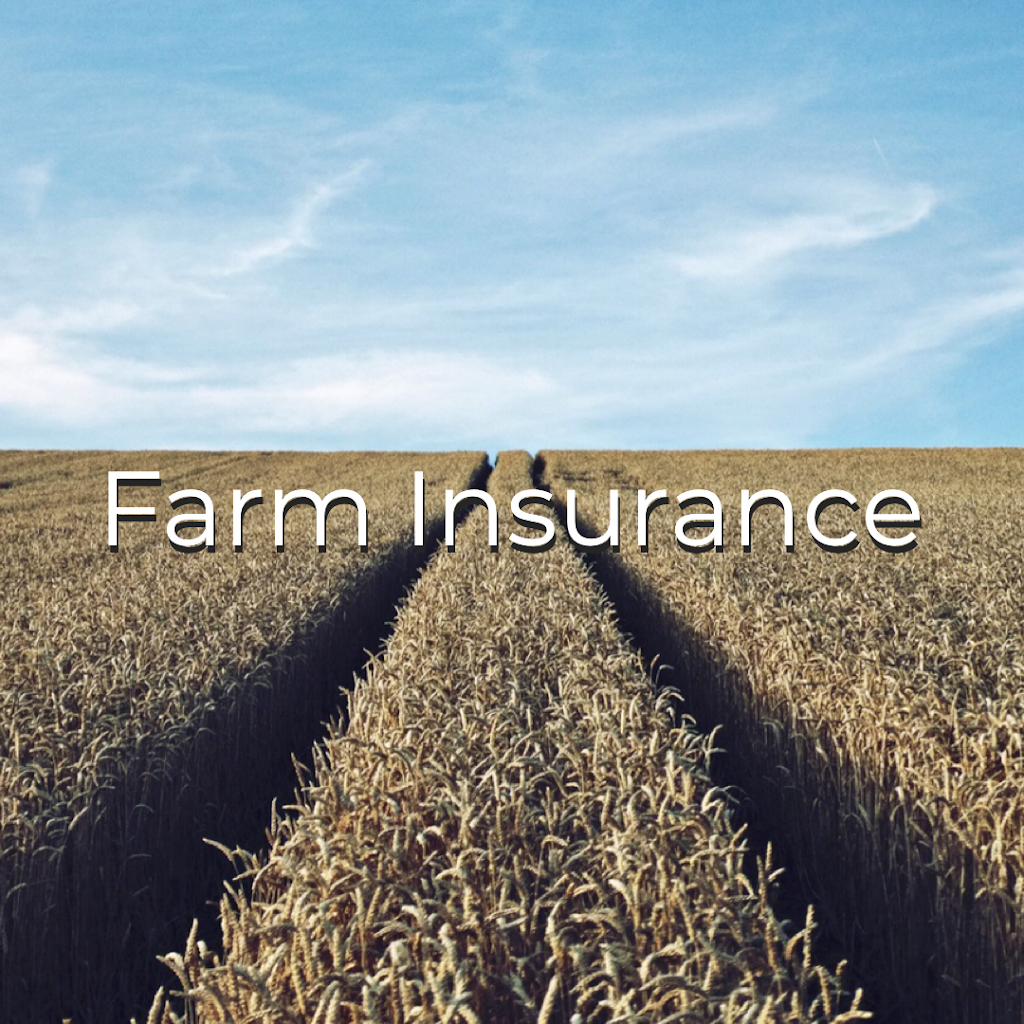 Morison Insurance Simcoe | 33 Park Rd, Simcoe, ON N3Y 4J9, Canada | Phone: (519) 426-2551