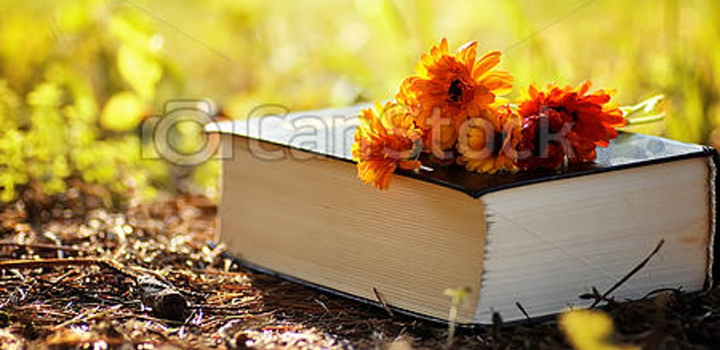 English Tutoring with Karen Wilson | 5 Neretva St, Midhurst, ON L9X 0M5, Canada | Phone: (705) 718-5398