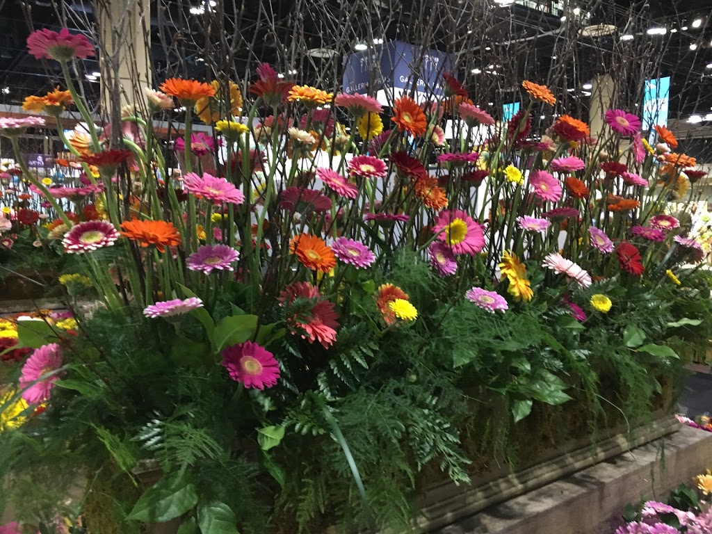 Hollandia Greenhouses,Ltd. | 19731 Richardson Rd, Pitt Meadows, BC V3Y 1Z1, Canada | Phone: (604) 460-1866