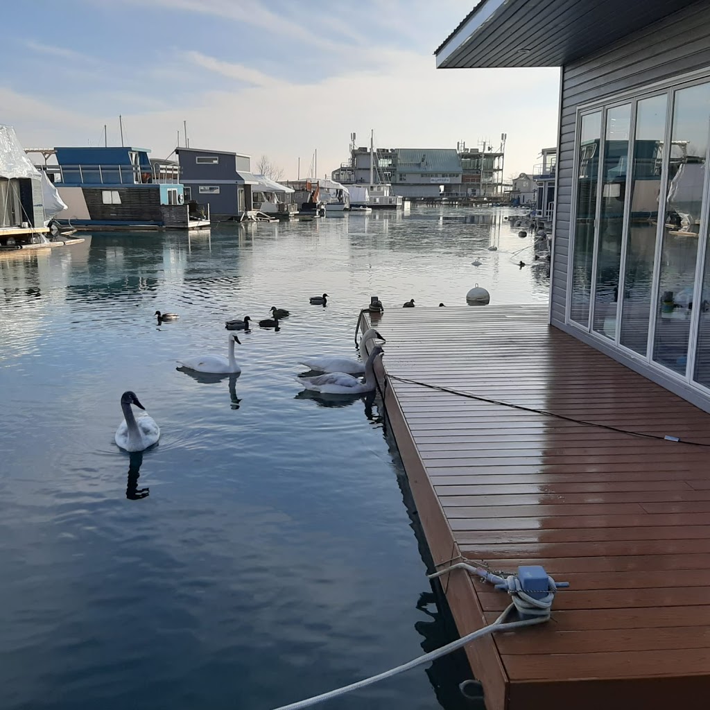 Toronto Floating Homes | 7 Brimley Rd S, Scarborough, ON M1M 3W3, Canada | Phone: (437) 221-4692