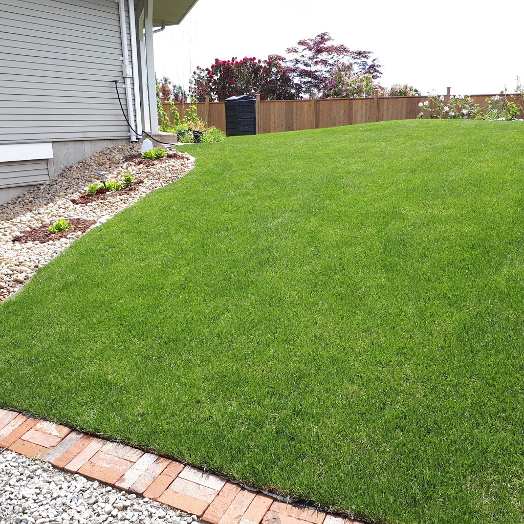 Anderson Sod Farm Ltd. | 36422 Hyde Buker Rd, Dewdney, BC V0M 1H0, Canada | Phone: (604) 826-2383