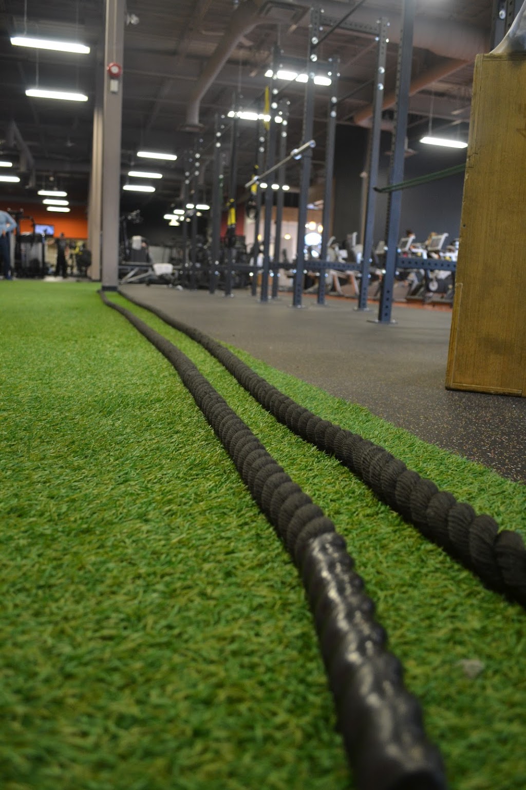World Gym St-Jérôme | 500 Bd des Laurentides, Saint-Jérôme, QC J7Z 7M8, Canada | Phone: (450) 432-2700