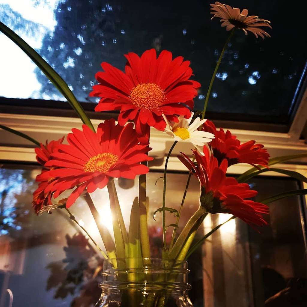 The MicroFarm on Green Lake | 6634 Valleyview Dr, Nanaimo, BC V9T 5R7, Canada | Phone: (250) 618-8751