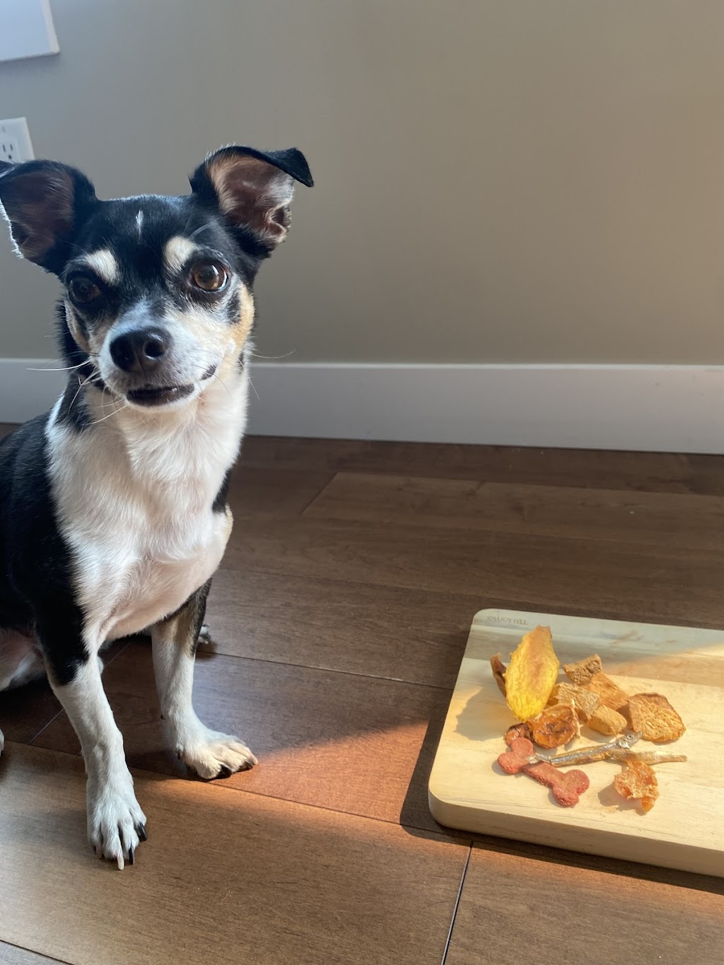Mother Puppers Barkery | NOT A STOREFORNT, 575 Proudfoot Ln, London, ON N6G 4Z4, Canada | Phone: (226) 346-3790