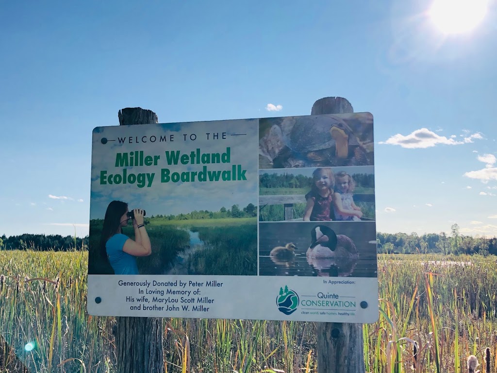 Frink Conservation Area | 381 Thrasher Rd, Plainfield, ON K0K 2V0, Canada | Phone: (613) 968-3434