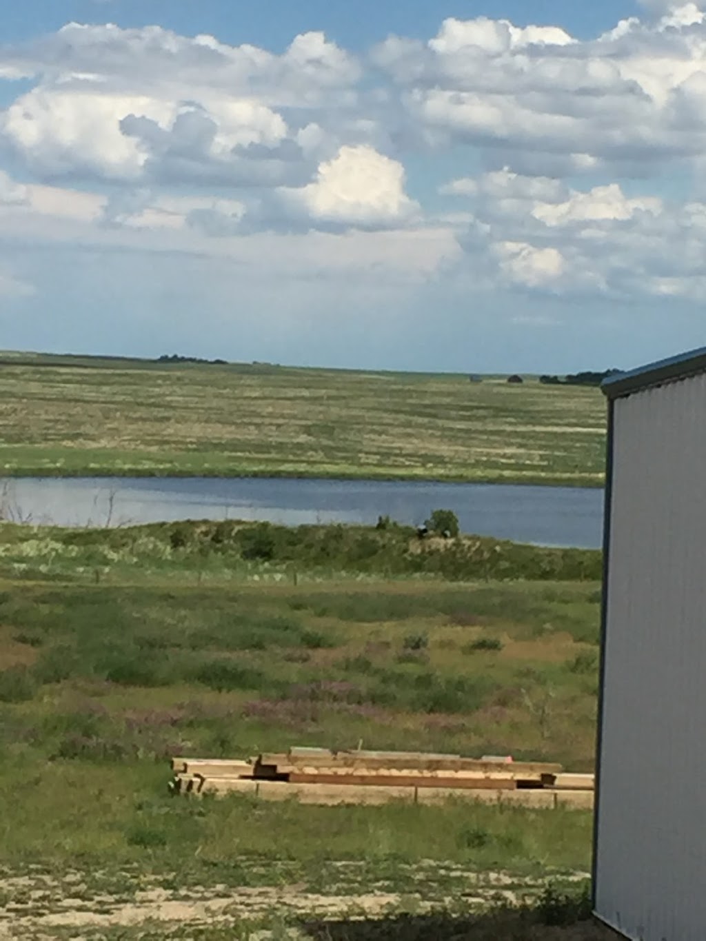 Reigning Paints Riding Arena | Sutton No. 103, SK S0H 2Y0, Canada | Phone: (306) 642-4062