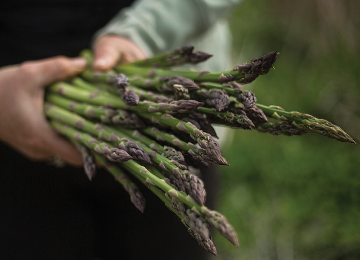 Manorun Organic Farm | 782 Hamilton Regional Rd 52, Lynden, ON L0R 1T0, Canada | Phone: (905) 648-9608