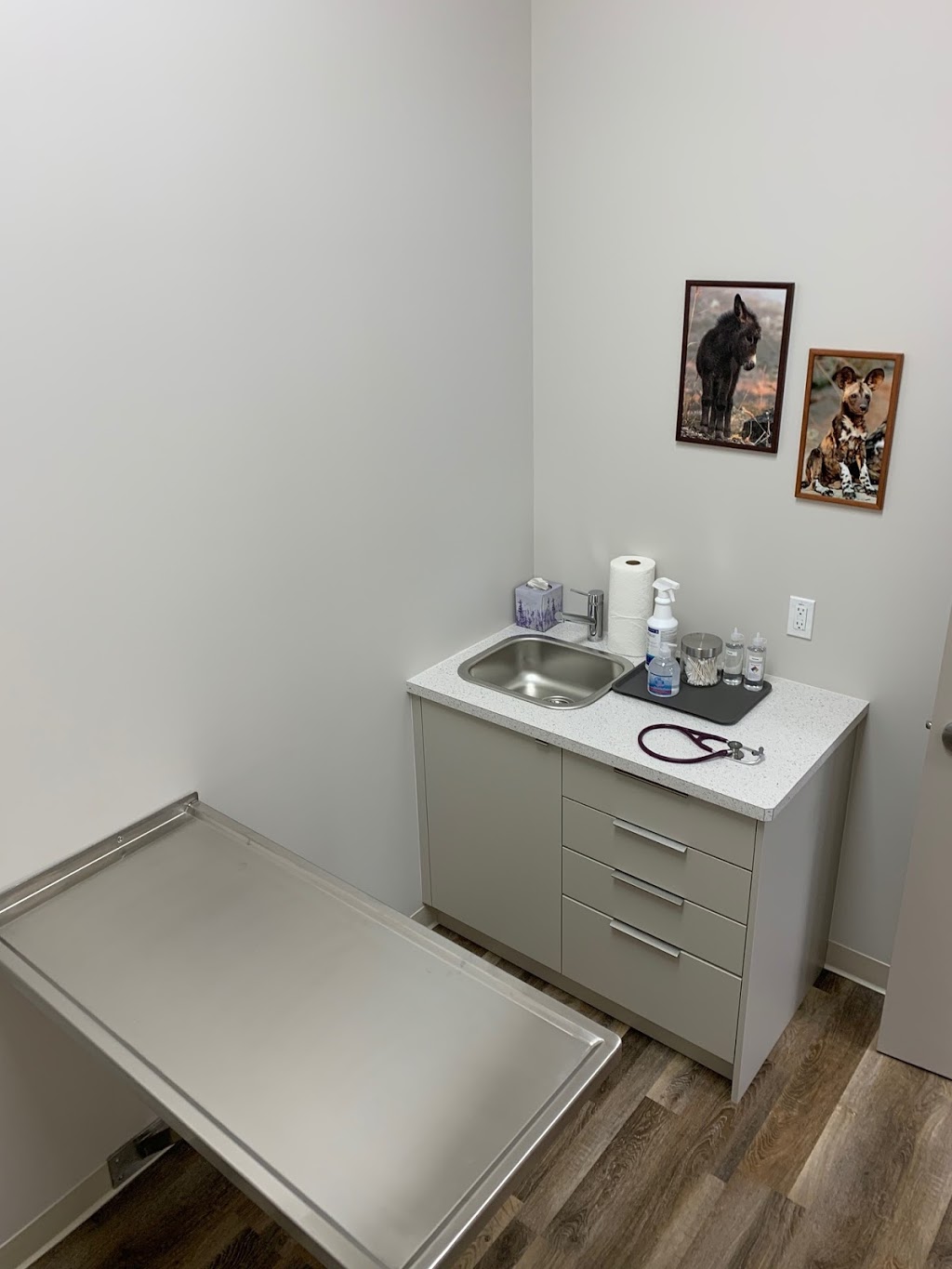 Lake Bonavista Animal Clinic | 755 Lake Bonavista Dr SE #159, Calgary, AB T2J 0N3, Canada | Phone: (403) 570-1870