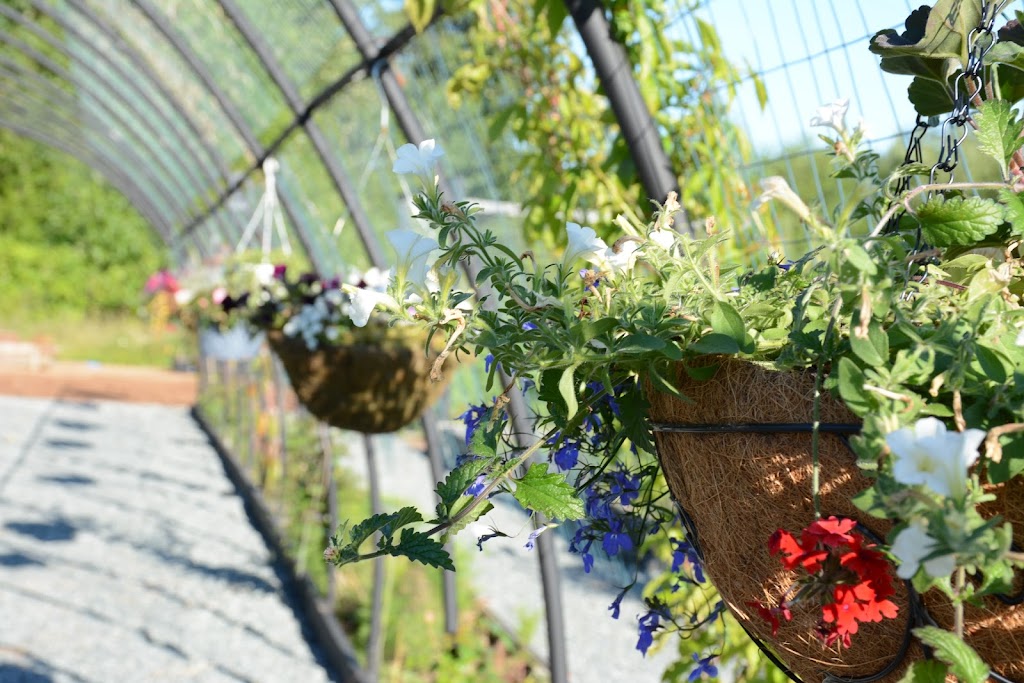 Willow Garden Farm | 29089 Haverman Rd, Abbotsford, BC V4X 2P4, Canada | Phone: (604) 309-1539