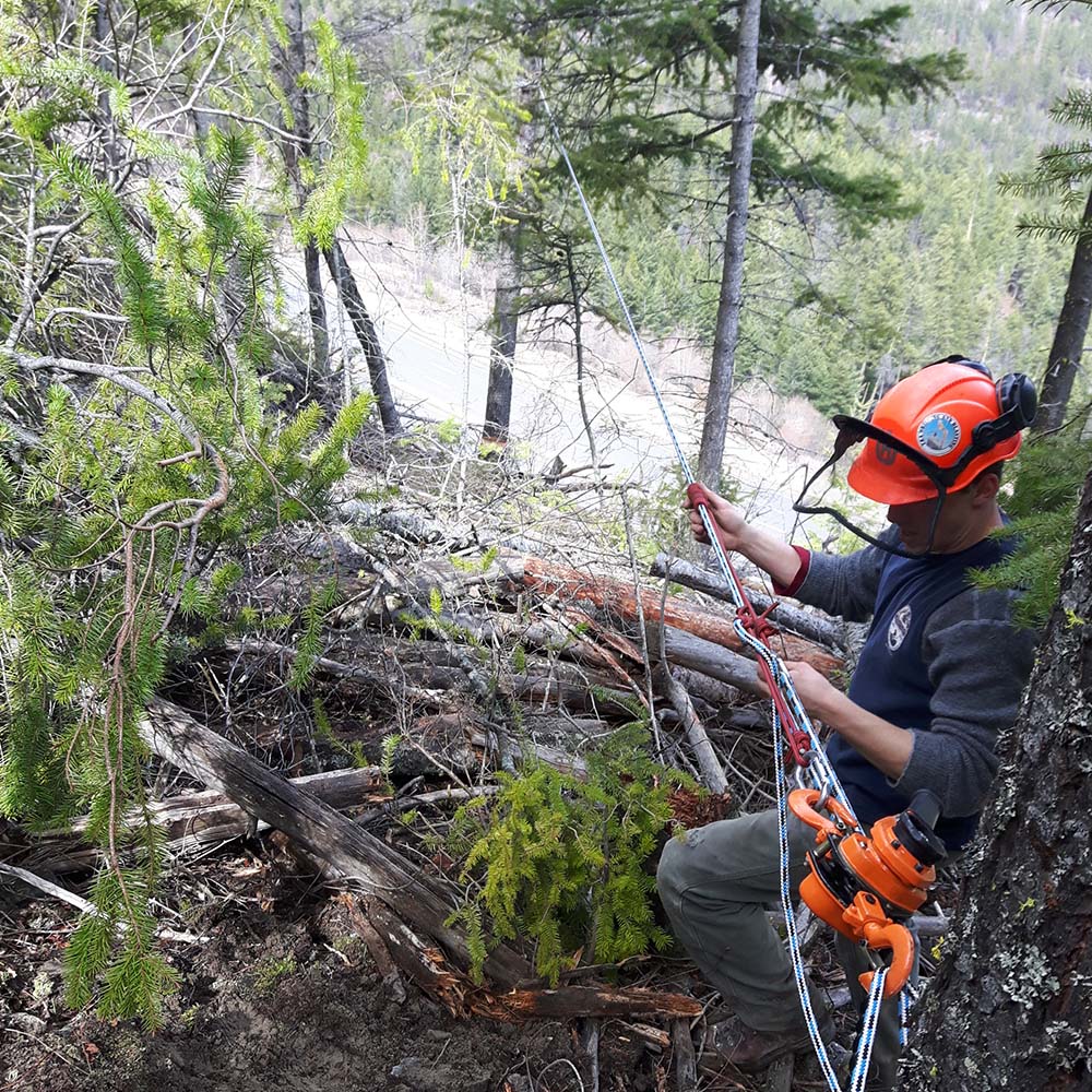Brushpunks Forestry Services | 4218 6th avanue, Peachland, BC V0H 1X5, Canada | Phone: (250) 717-7886