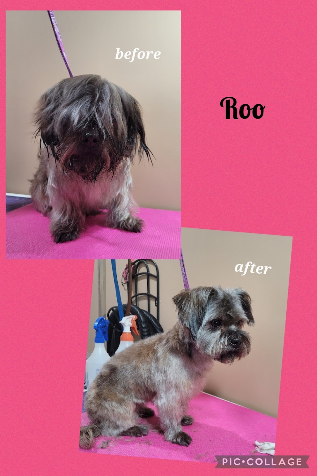 Loves Dogs - Grooming | 2073 High Country Rise, High River, AB T1V 0C9, Canada | Phone: (403) 336-2734