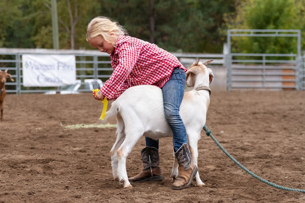 Rock Creek & Boundary Fair | 3880 Kettle Valley Rd S, Rock Creek, BC V0H 1Y0, Canada | Phone: (250) 446-2465