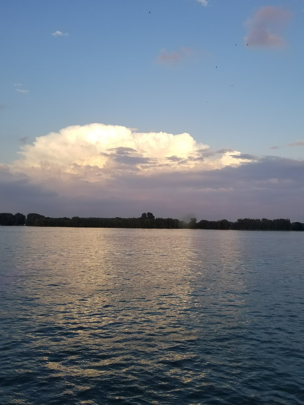 Parc national des Îles-de-Boucherville | 55 Île Sainte Marguerite, Boucherville, QC J4B 5J6, Canada | Phone: (450) 928-5088