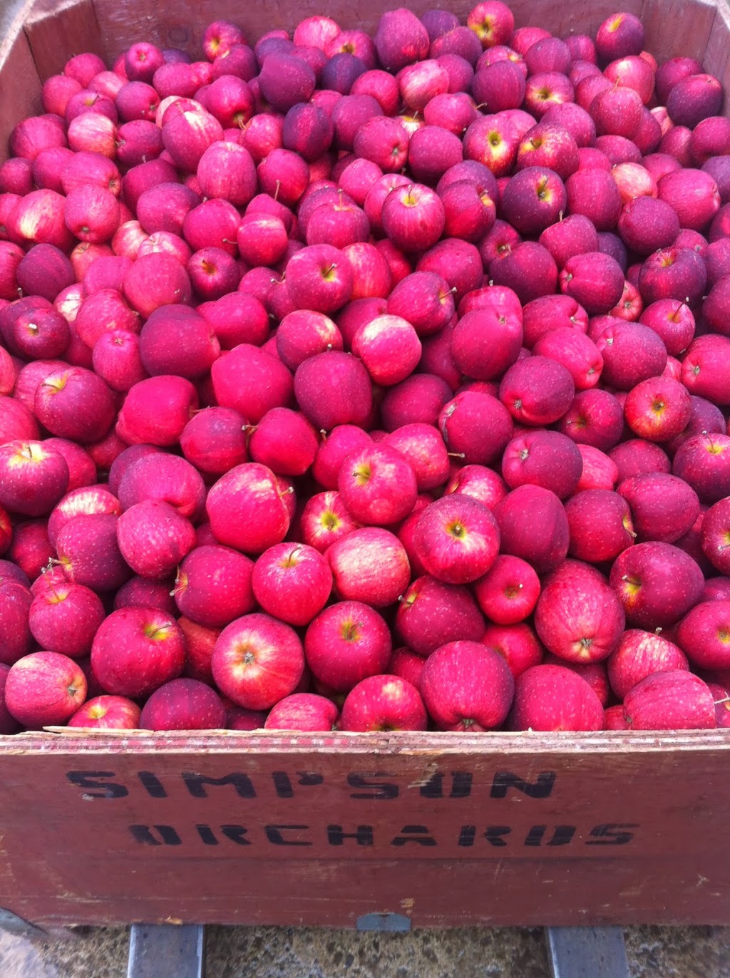 Simpson Orchards | 237 Mersea Road 5, Leamington, ON N8H 3V5, Canada | Phone: (519) 326-9459