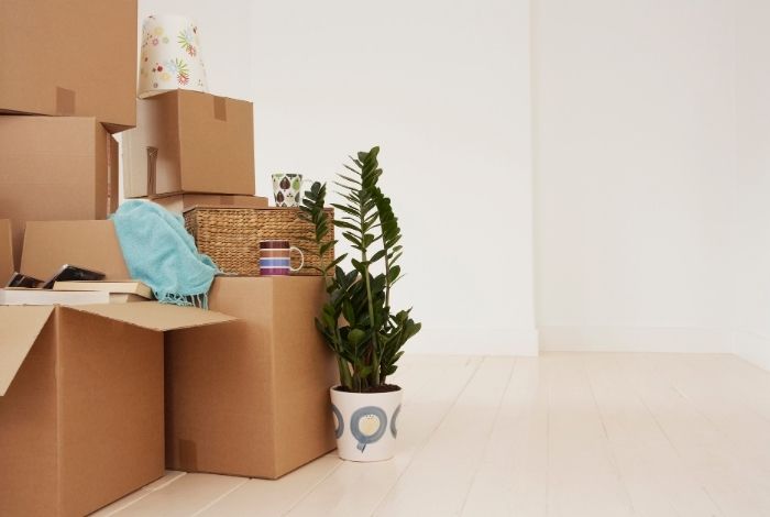 On The Move Ottawa | 125 Woodridge Crescent, Nepean, ON K2B 7T2, Canada | Phone: (613) 981-1154