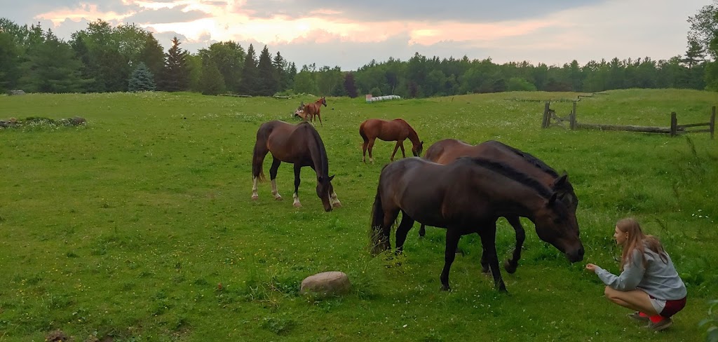 Hunters Run | 4284 Sideroad 10 S, Cambridge, ON N3C 2V4, Canada | Phone: (905) 334-1836