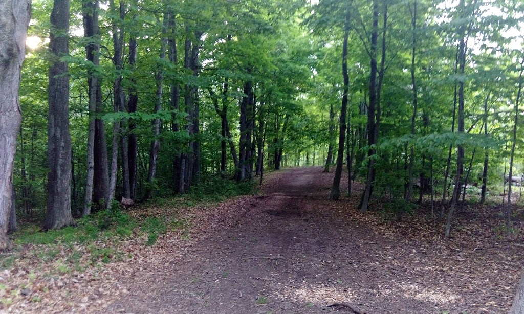 Shadyridge Woods | Kitchener, ON N2N 3J2, Canada