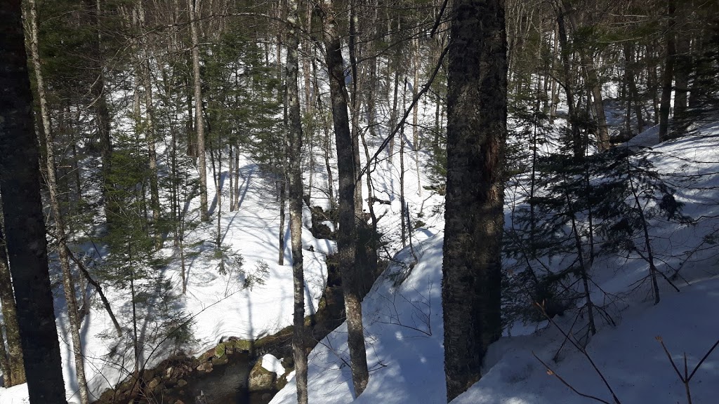 Sentier Montagne A Deux Tête 8 Chemin de l'Espoir, SainteBrigittede