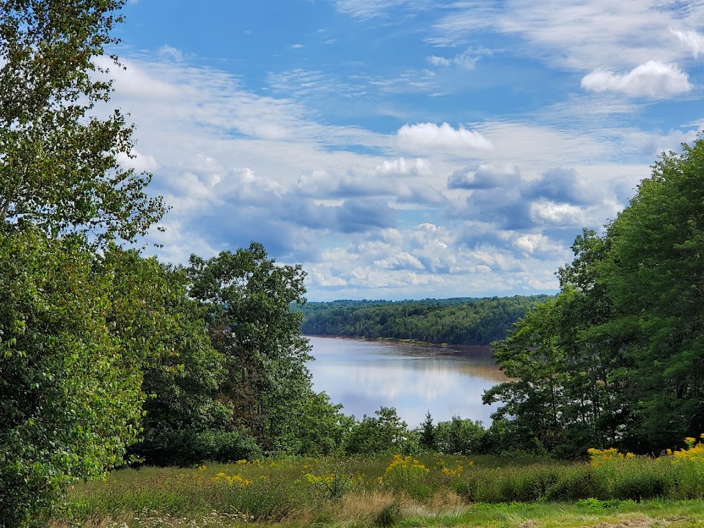 Green Oaks Camping | 2337 Pleasant Valley Rd, Brookfield, NS B0N 1C0, Canada | Phone: (902) 957-3149