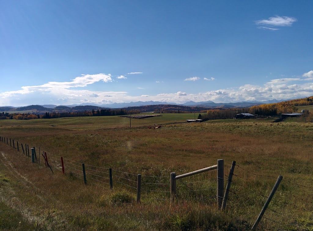 Square Butte Community Hall | AB-762, Millarville, AB T0L 1K0, Canada | Phone: (403) 931-3457