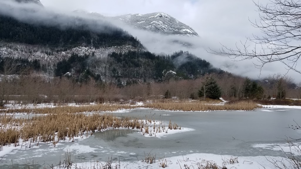 Estuary Chelem Trail | Squamish, BC V8B, Canada