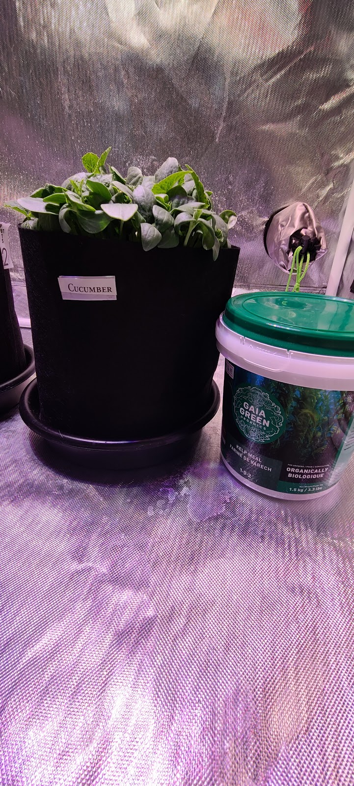 Grow N Things HYDROPONIC INC | 8 Bloomingdale Rd N Unit #3, Kitchener, ON N2K 1A2, Canada | Phone: (519) 576-3000