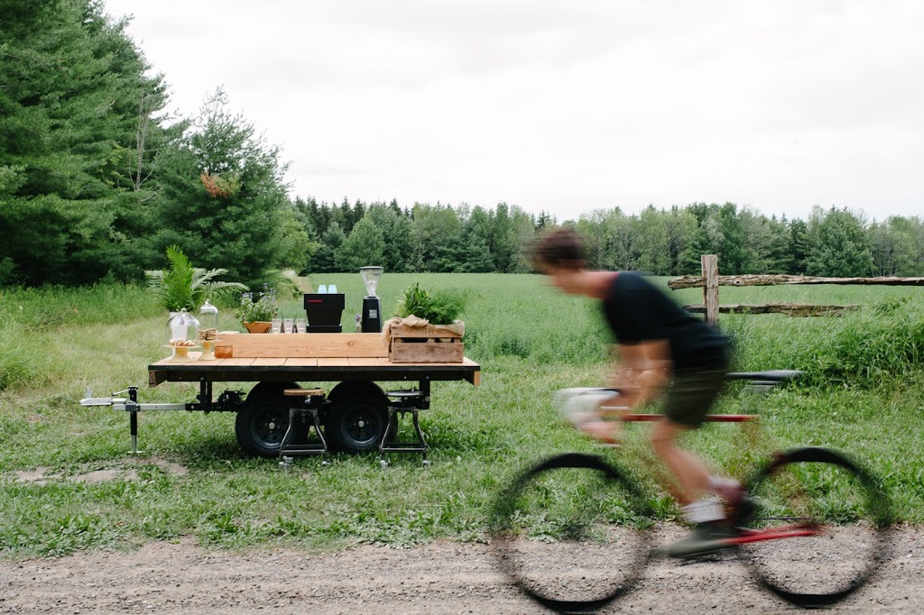 Adapt coffee | 20 Alma St S, Guelph, ON N1H 5W6, Canada | Phone: (519) 215-3765
