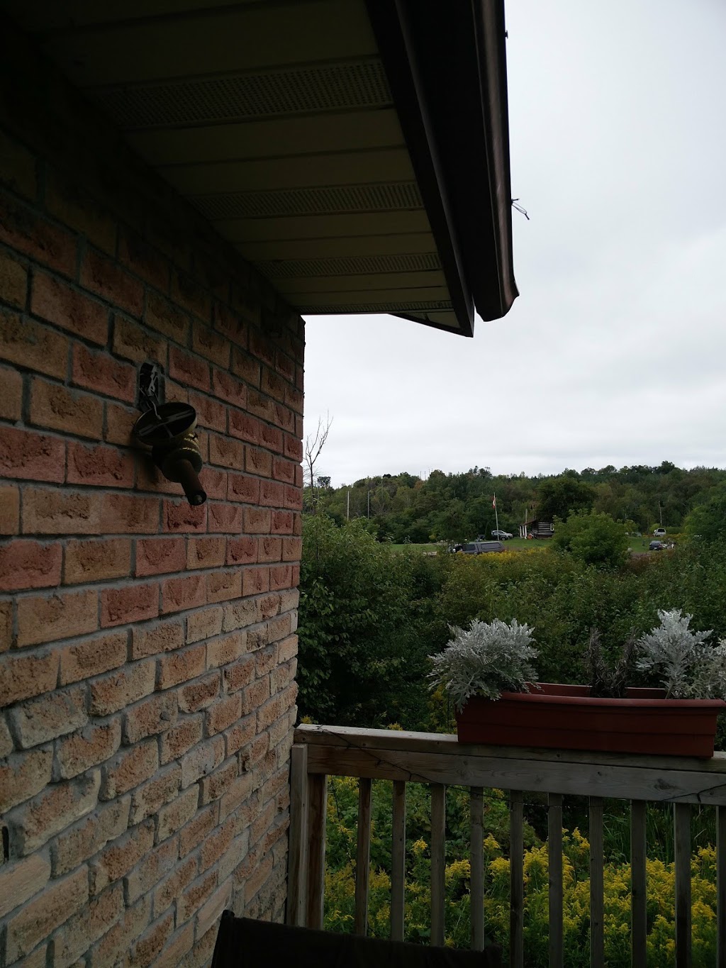 Helen | 150 Lily Lake Rd, Peterborough, ON K9J 6X3, Canada | Phone: (705) 743-6789