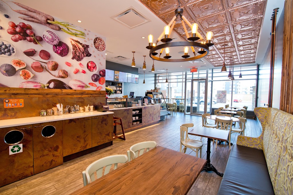 Copper Branch | 8015 Boulevard du Quartier Suite 105, Brossard, QC J4Y 0N5, Canada | Phone: (450) 445-2224