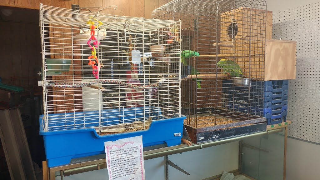 Creekside Pets & Supplies | 1811 Abbott Rd, Lackawanna, NY 14218, USA | Phone: (716) 822-8799