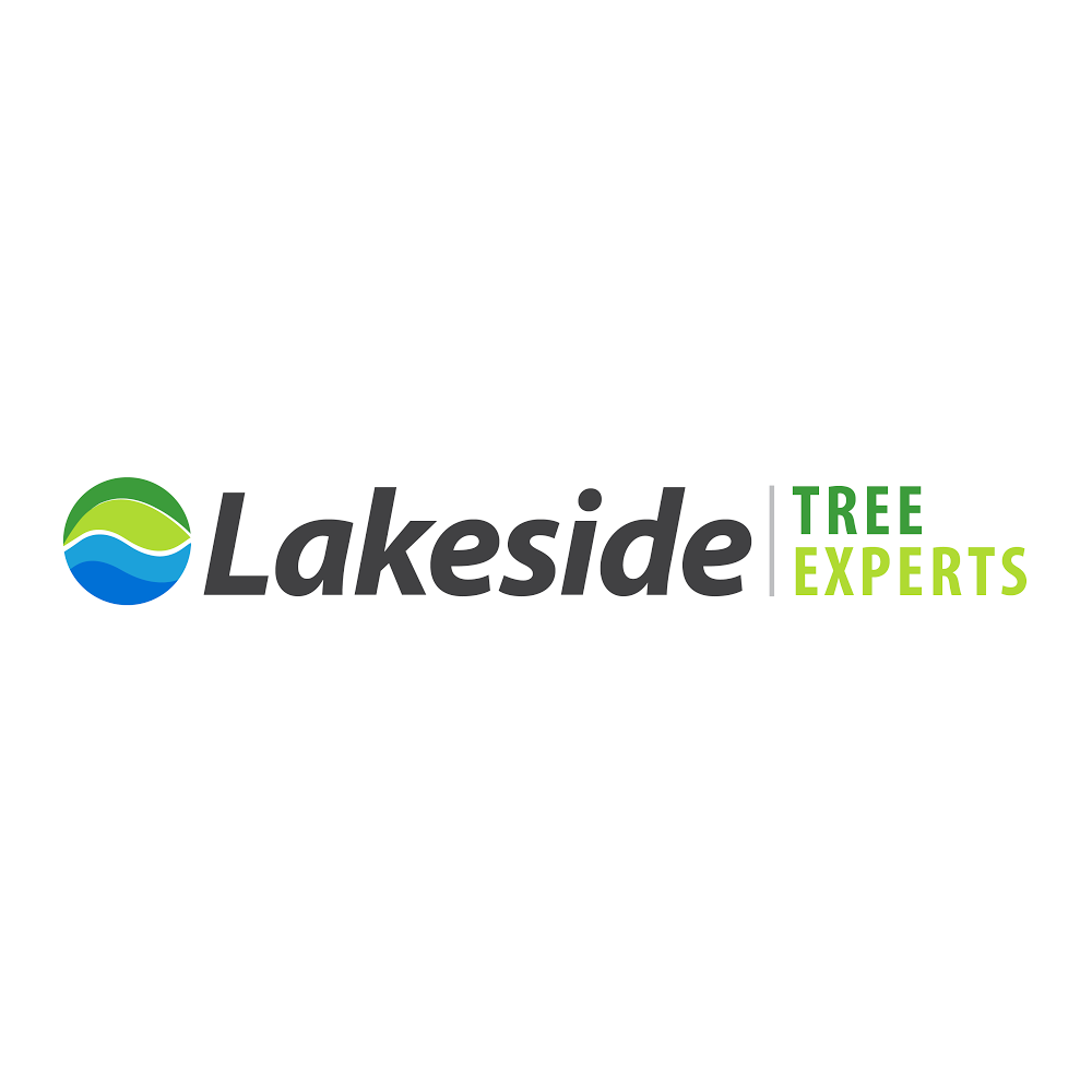 Lakeside Tree Experts | 560 Anne St N, Springwater, ON L9X 0V6, Canada | Phone: (705) 722-4800