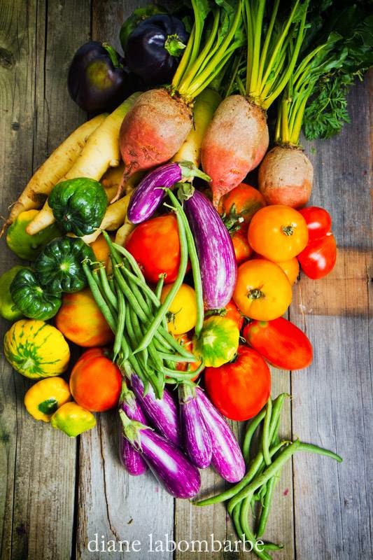 River Bell Organic Market Garden | 559 Sydenham St, Chatham-Kent, ON N0P 1M0, Canada | Phone: (519) 683-2052