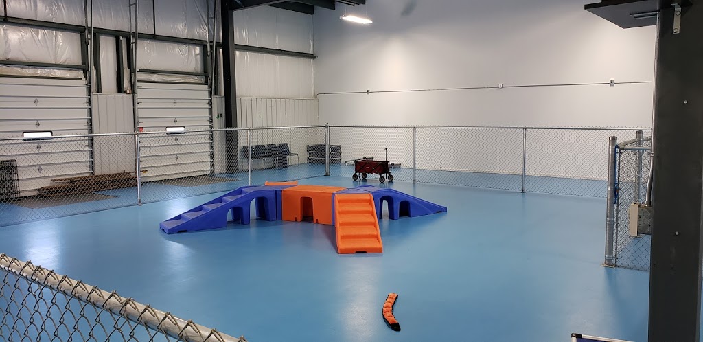 HoundAway Daycare and Boarding | 445 Hardy Rd Unit 4, Brantford, ON N3T 5L8, Canada | Phone: (519) 750-0770